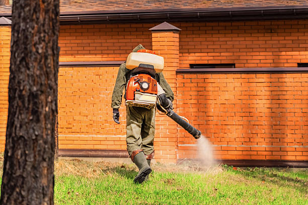 Trusted Termite Control service in McEwen, TN - Nex Pest Control